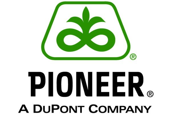 Pioneer Gold Logo